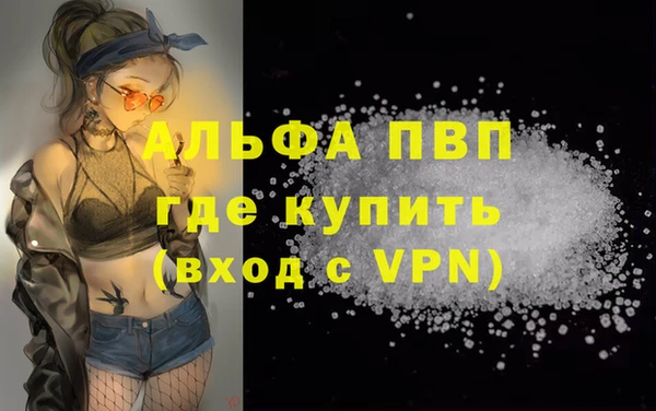 СК Покачи