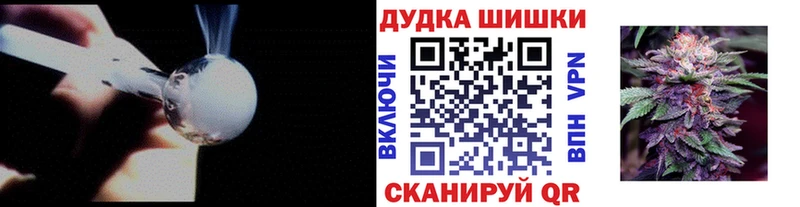 Бошки Шишки планчик  где найти   Шуя 