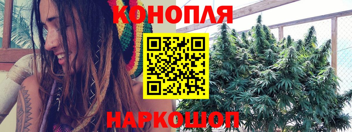 Бошки Шишки тримм  Марихуана ГИДРОПОН  Вход с VPN  Бошки марихуана планчик  Шуя  Каннабис SATIVA & INDICA 